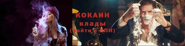мдпв Бронницы