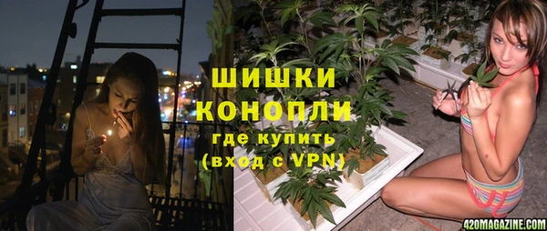 ALPHA PVP Бородино