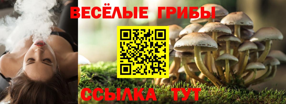 Галлюциногенные грибы MAGIC MUSHROOMS  Вход с VPN  Минеральные Воды 